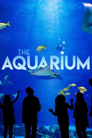 The Aquarium (2019) poster