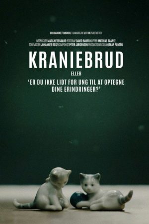 Skull Fracture or ‘Aren’t You Rather Young to Be Writing Your Memoirs?’ (2017) poster