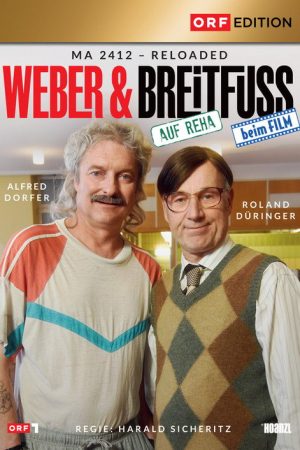 Weber & Breitfuß (2022) poster