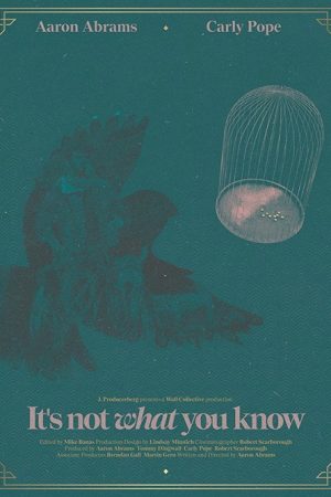 It’s Not What You Know (2016) poster