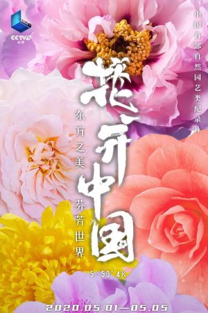The Signature of Flowers (2020) poster
