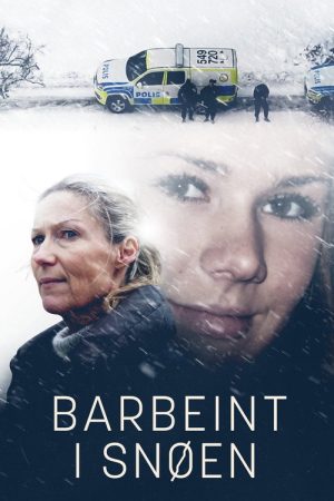 Barbeint i Snøen (2026) poster