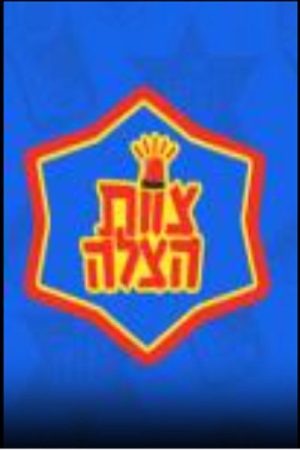 צוות הצלה (2017) poster