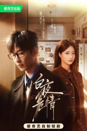 白夜危情 (2026) poster