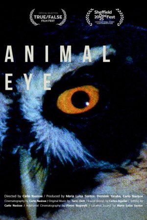 Animal Eye (2025) poster