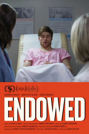 Endowed (2025) poster