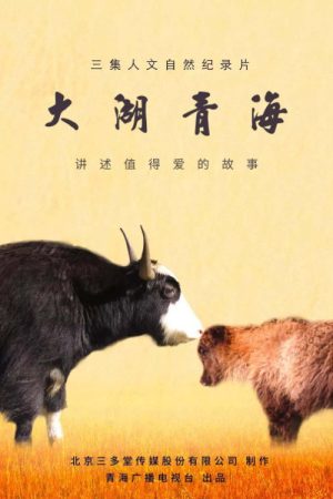 大湖·青海 (2019) poster