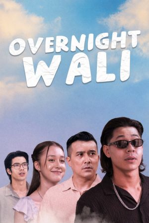 Overnight Wali (2024) poster