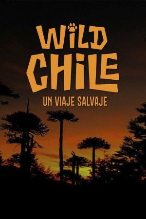Wild Chile: Un viaje salvaje (2017) poster