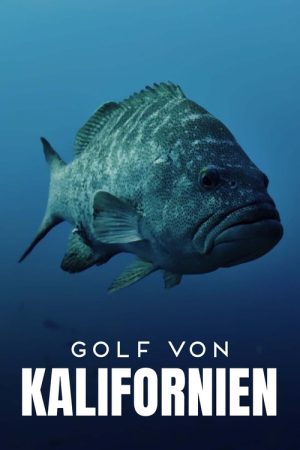 Golf von Kalifornien (2023) poster