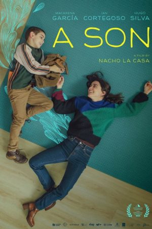 A Son (2026) — Cast, Story & Where to Watch | MovieLinkBD poster
