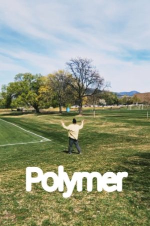 Polymer (2026) poster