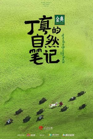 丁真的自然笔记 (2021) poster