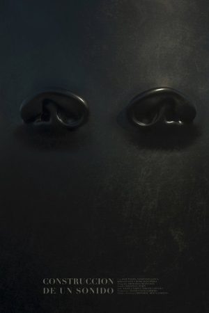 The Construction of a Sound (2021) poster