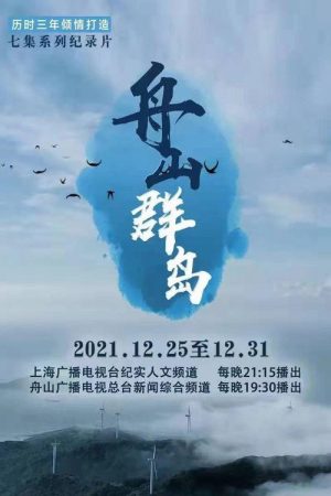 舟山群岛 (2021) poster