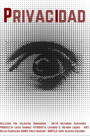 Privacidad (2024) poster