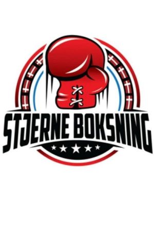 Stjerne Boksning – Talkshow (2022) poster