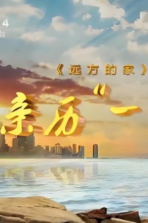 亲历“一带一路” (2017) poster