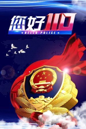 您好，110 (2019) poster