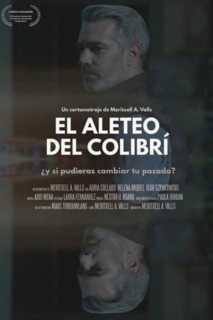 El aleteo del colibrí (2017) poster