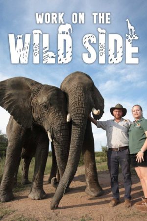 Work on the Wild Side (2020) poster