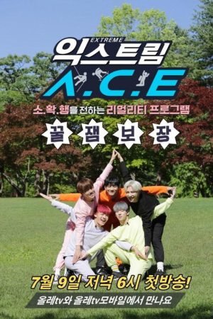 Extreme A.C.E (2019) poster