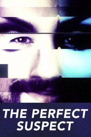 The Perfect Suspect (2017) poster