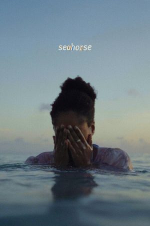 Seahorse (2026) poster
