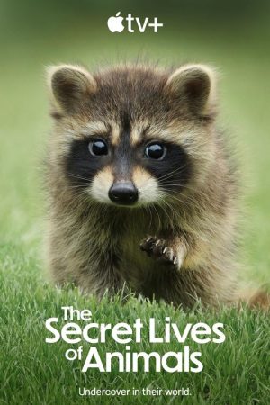 The Secret Lives of Animals (2024) poster