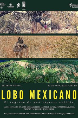 Lobo Mexicano (2020) poster