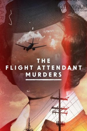 The Flight Attendant Murders (2023) poster