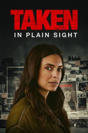 Taken in Plain Sight (2024) poster