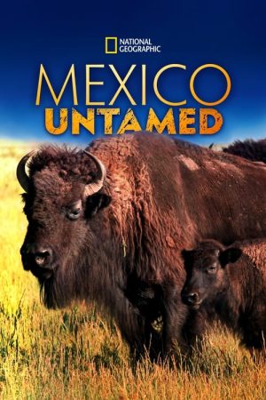 Mexico Untamed (2018) poster
