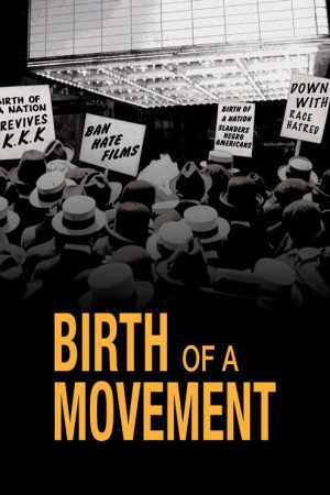 Birth of a Movement (2017) poster