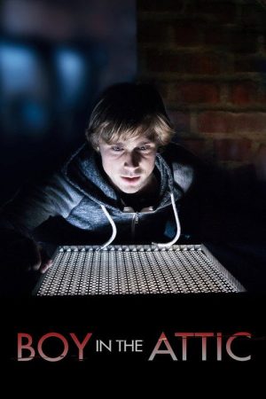 Secrets in the Attic (2016) poster