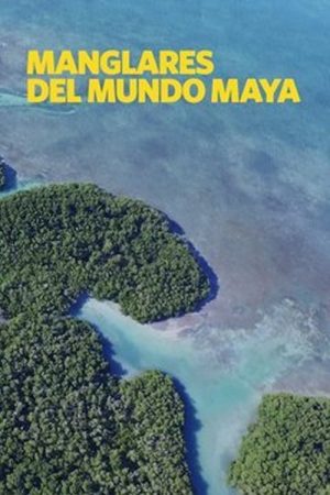 Mangalares Del Mundo Maya (2016) poster