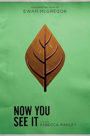 Now You See It (2017) poster