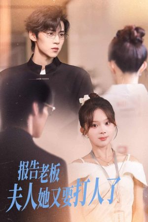 报告老板，夫人她又要打人了 (2025) poster