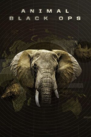 Animal Black Ops (2016) poster