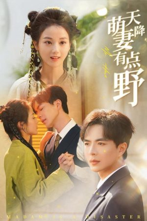 天降萌妻有点野 (2025) poster