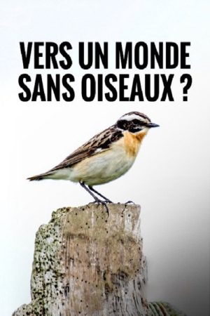 Towards a World Without Birds (2020) poster