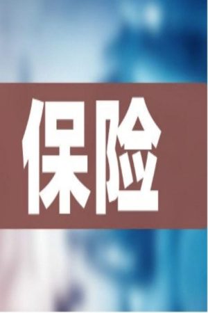 12节课教你规划家庭保险 (2020) poster