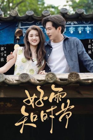 好雨知时节 (2026) poster