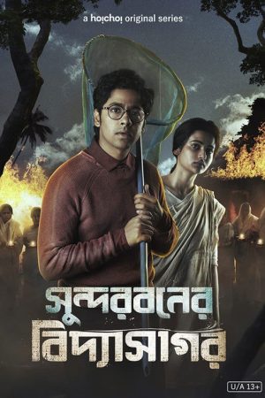 Sundarbaner Vidyasagar (2022) poster