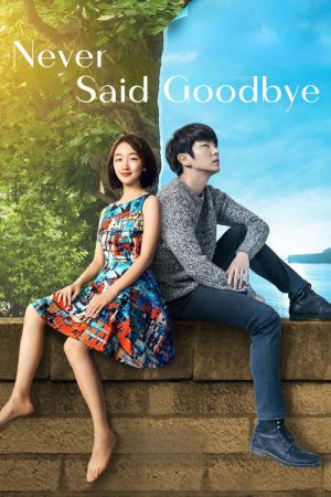 Never Said Goodbye (2016) poster