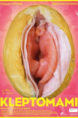 Kleptomom (2017) poster