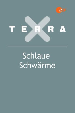 Schlaue Schwärme (2023) poster