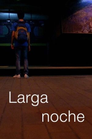 Larga noche (2016) poster