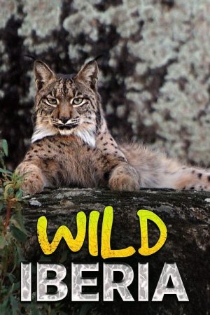 Wild Iberia (2018) poster