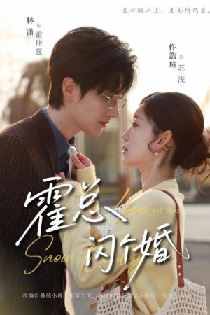 霍总，闪个婚 (2026) poster